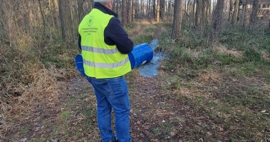 Inspektor ochrony środoowiska w lesie podczas oględzin porzuconych beczek z odpadami